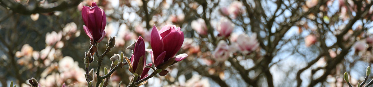 Step Beyond Awareness