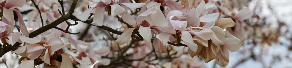 Step Beyond Awareness