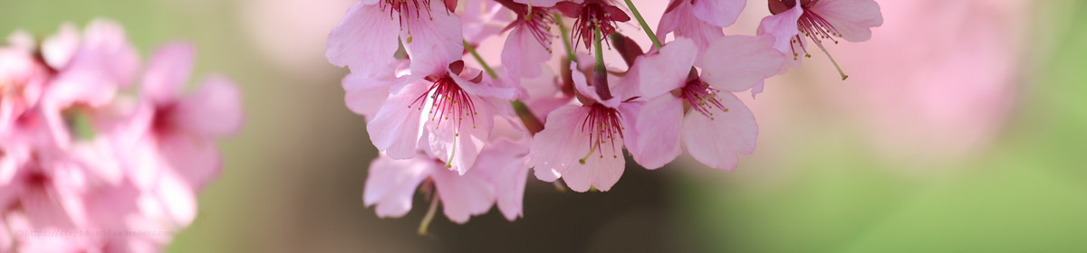 Step Beyond Awareness