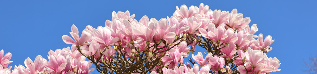 Step Beyond Awareness