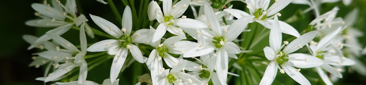 Step Beyond Awareness