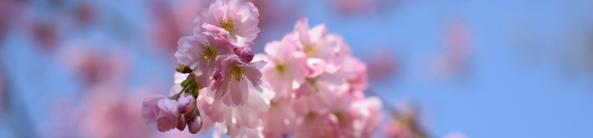 Step Beyond Awareness