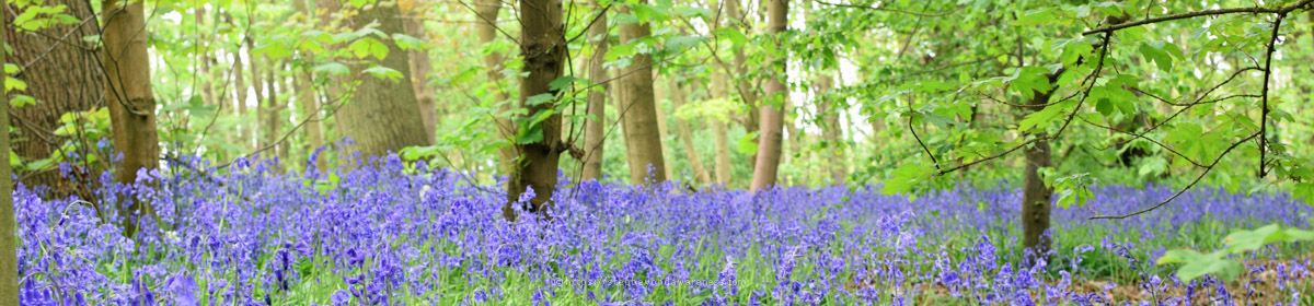 Step Beyond Awareness