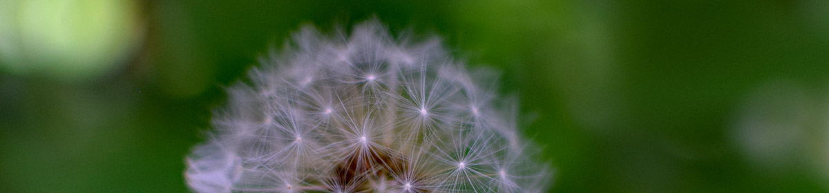 Step Beyond Awareness